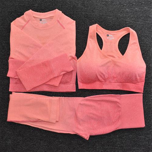 Ombre Women Yoga Set Seamless Leggings Long Sleeve Crop Top