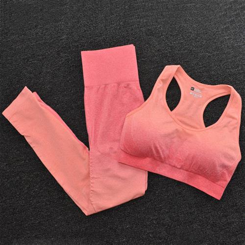 Ombre Women Yoga Set Seamless Leggings Long Sleeve Crop Top