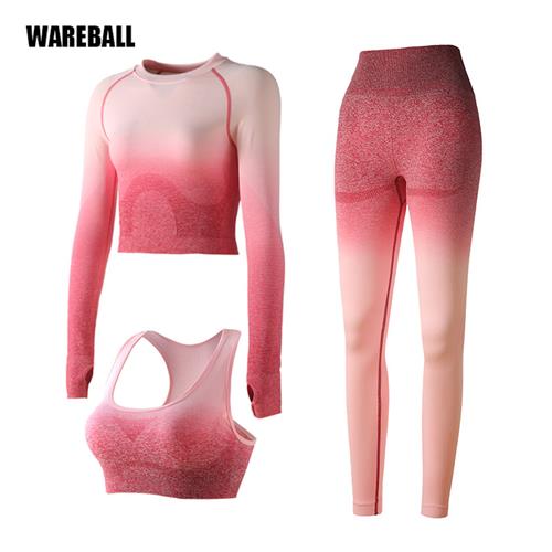 Ombre Women Yoga Set Seamless Leggings Long Sleeve Crop Top