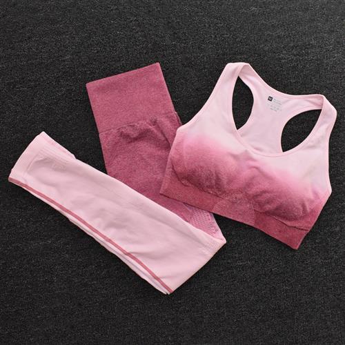 Ombre Women Yoga Set Seamless Leggings Long Sleeve Crop Top