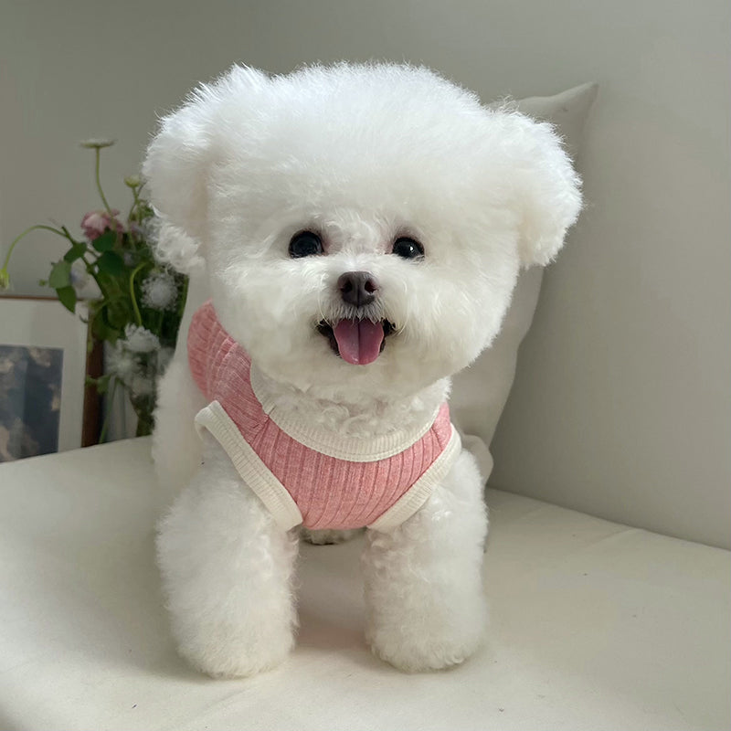 Pet Clothes Fall and Winter New Arrival Color Matching Saliva Towel Sunken Stripe Vest Teddy Bichon Dog Cat Warm Sweater