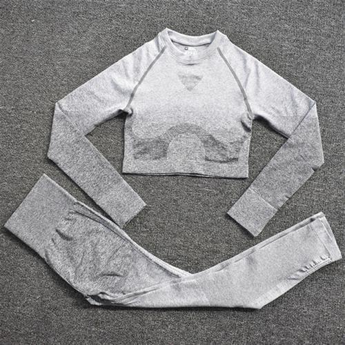 Ombre Women Yoga Set Seamless Leggings Long Sleeve Crop Top