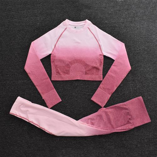 Ombre Women Yoga Set Seamless Leggings Long Sleeve Crop Top