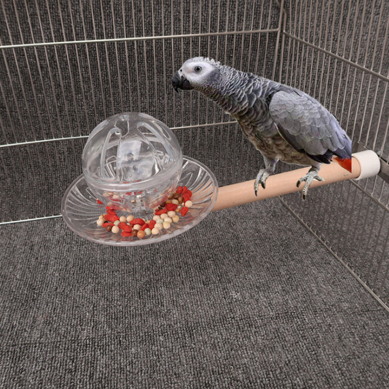 Parrot Toys Acrylic Nibbling Toy Bird Cage Educational Toy Bird Supplies Supplies Accessories Medium and Large Toy Bird