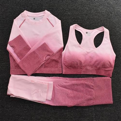 Ombre Women Yoga Set Seamless Leggings Long Sleeve Crop Top