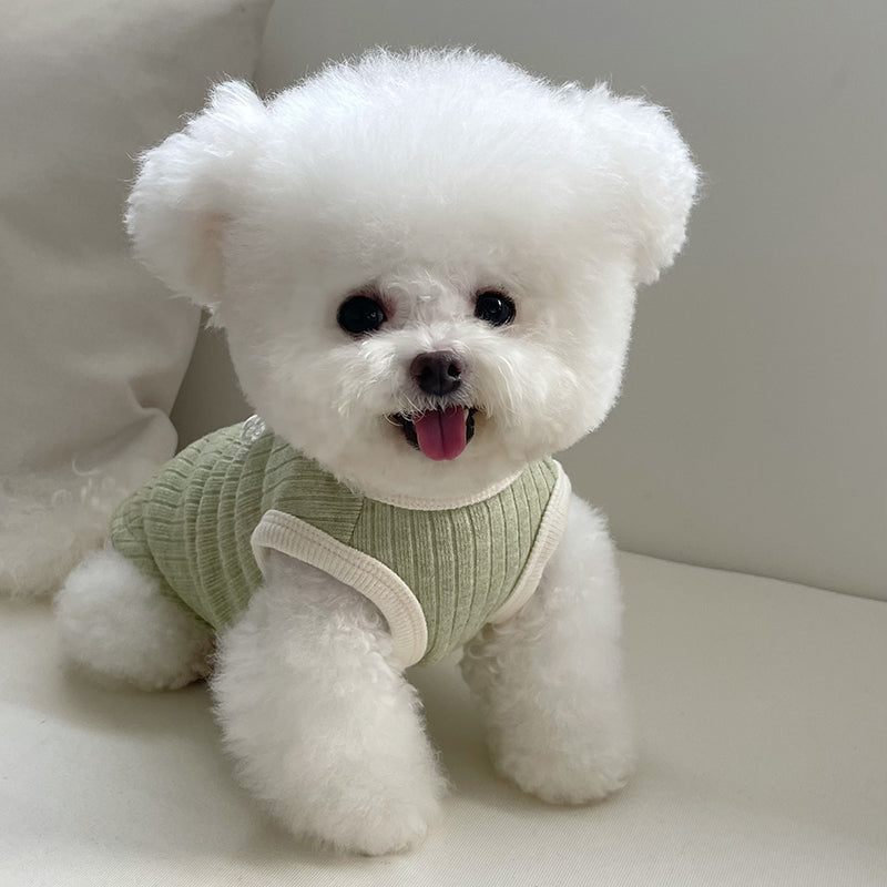 Pet Clothes Fall and Winter New Arrival Color Matching Saliva Towel Sunken Stripe Vest Teddy Bichon Dog Cat Warm Sweater