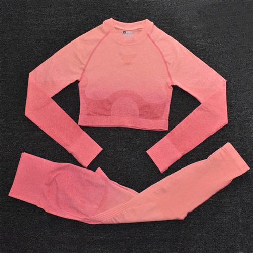 Ombre Women Yoga Set Seamless Leggings Long Sleeve Crop Top