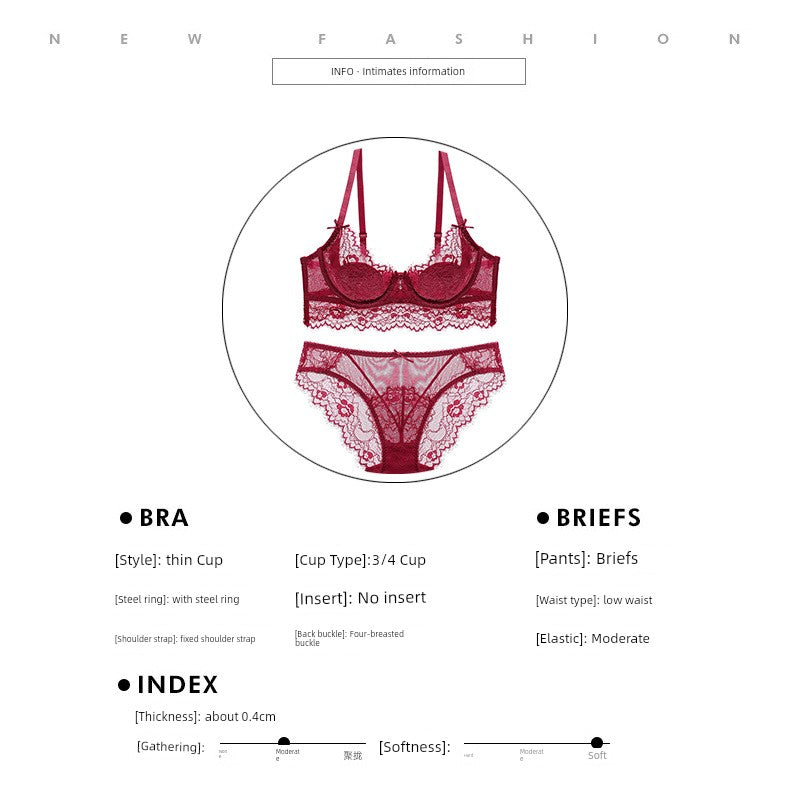 Beautiful Back Large Size Women's Lace Panties Passion Bra